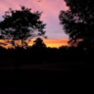 Meet your Posher, Lorrie